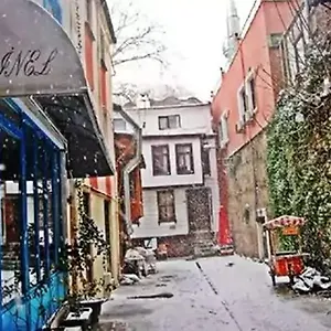 Отель Minel